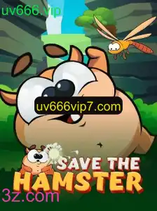 Descubra o Fascinante Mundo de SavetheHamster: Um Jogo Inovador